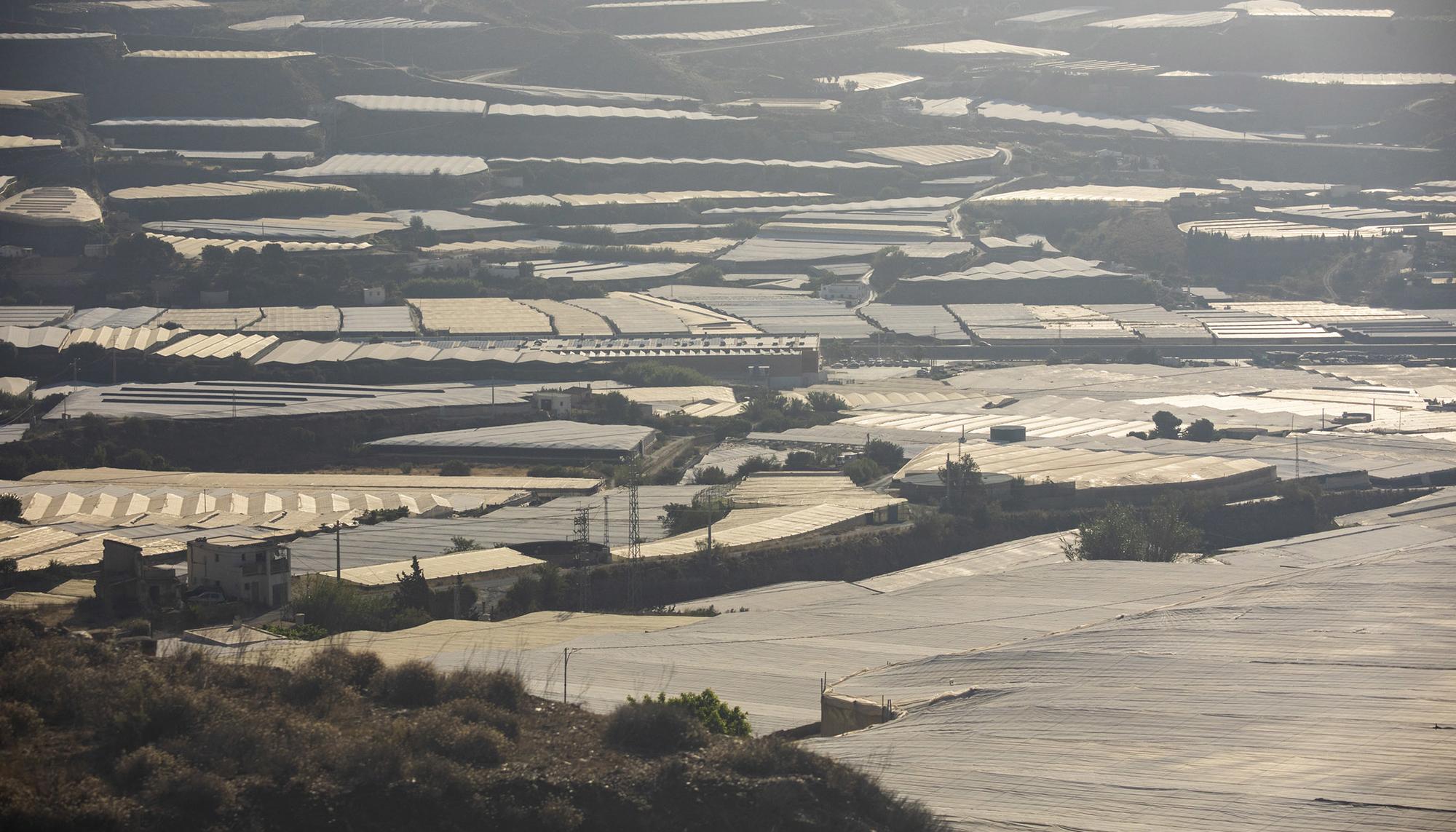 Andalucia Varios Medio Ambiente - 7